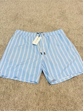 Snapper Rock Light Blue and White Striped Men's Swim Trunks